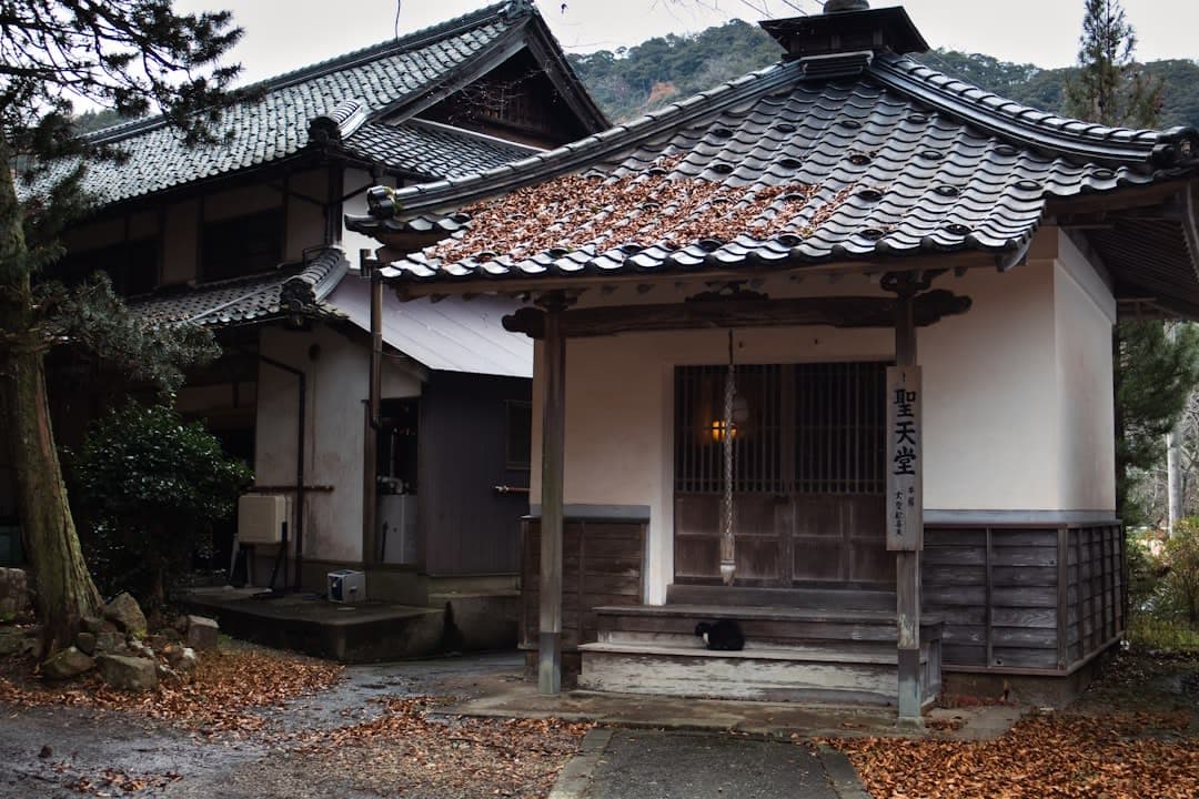 Kinosaki Onsen, Kinosaki