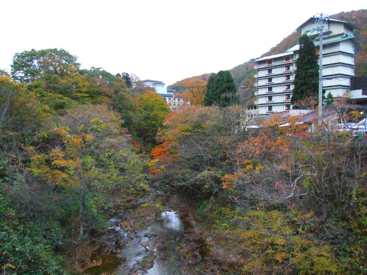Sakunami Onsen, Sakunami